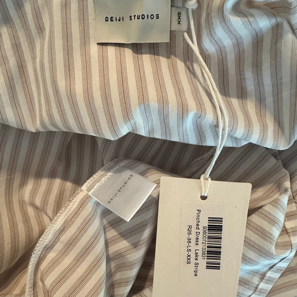 Deiji Studios BNWT PINCHED Dress in Lake Stripe.