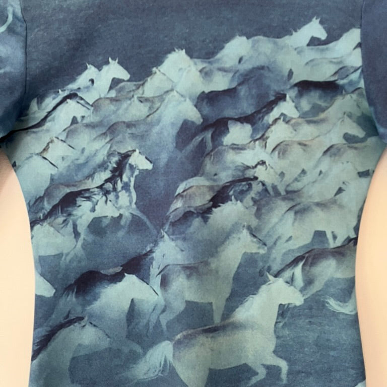 Lucinda Babi WILD HORSES Top.