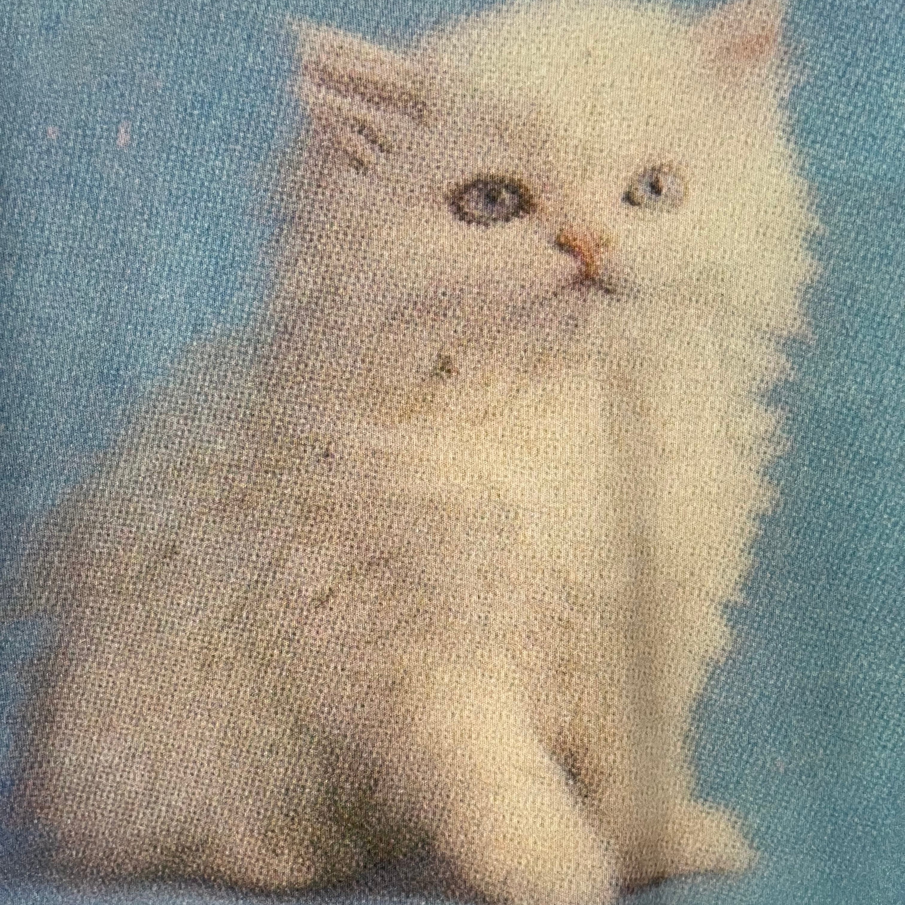 Ashely Williams CAT Baby Tee Size S.