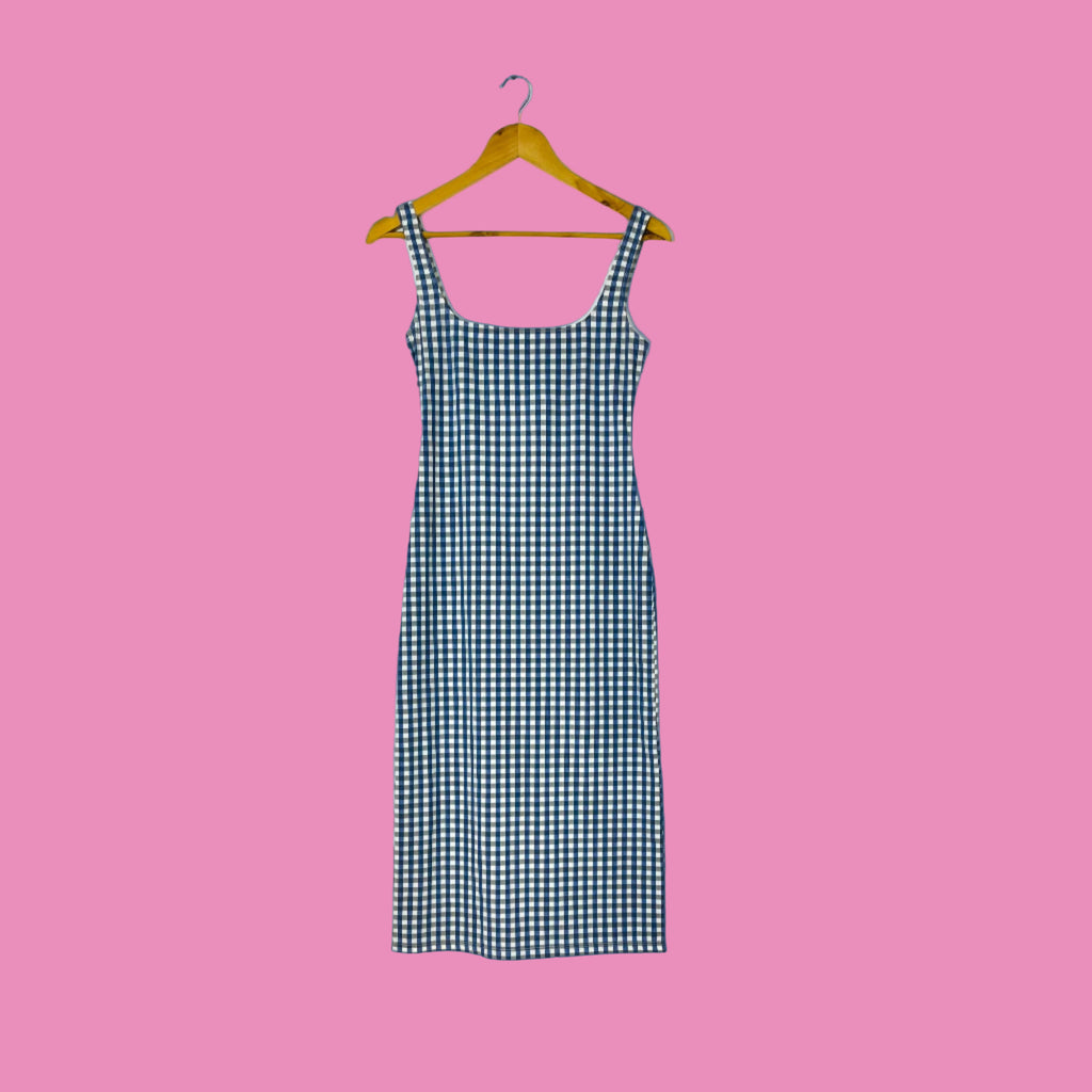 Maryam Nassir Zadeh SALMA Dress in Blue Check.