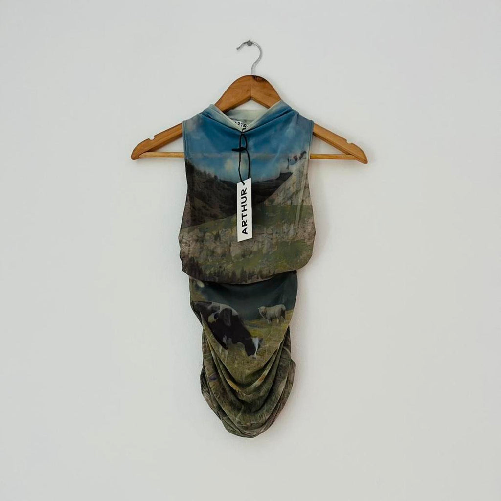 Arthur NWT Ruched Tank Top in Bucolic.