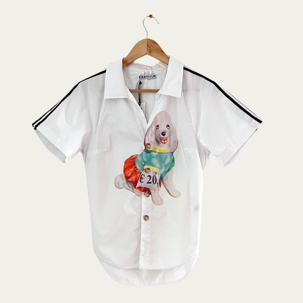 Arthur Apparel BNWT RAGLAN Shirt in Fancy Poodle.