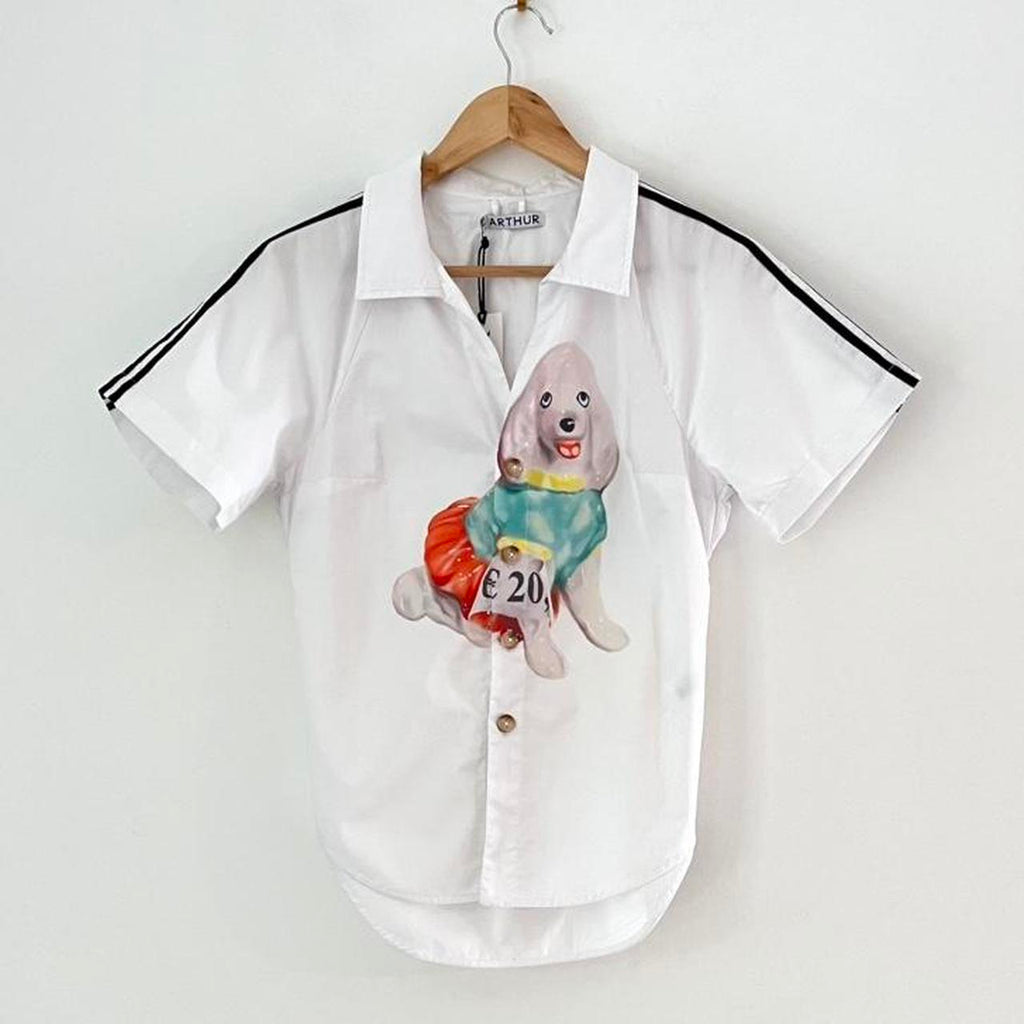 Arthur Apparel BNWT RAGLAN Shirt in Fancy Poodle.