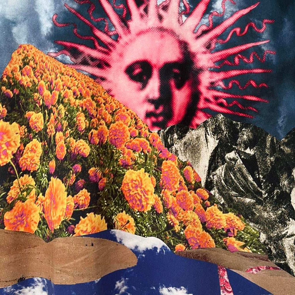 ACNE Studios ESTRELLE Graphic Print Cotton T-shirt In Grey.