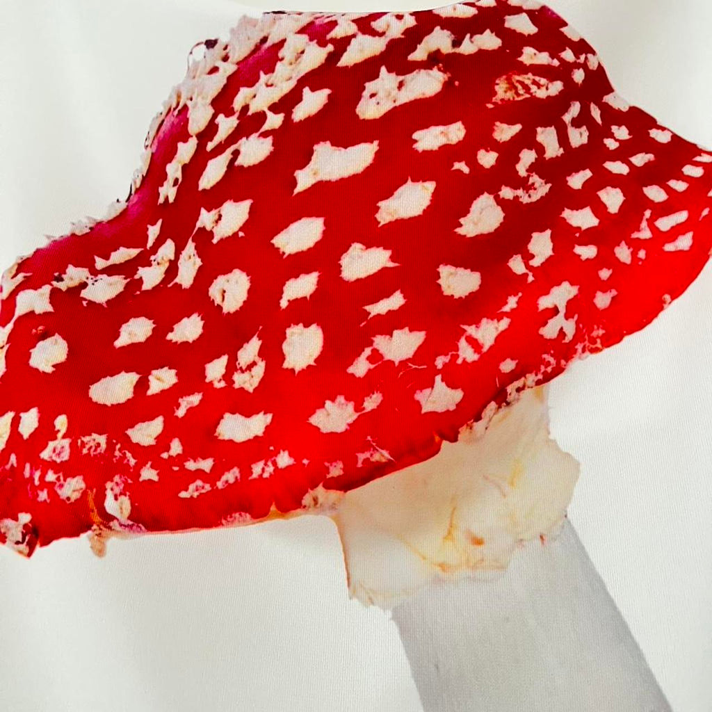 Tyler McGillivary MUSHROOM Cowel Neck Top.