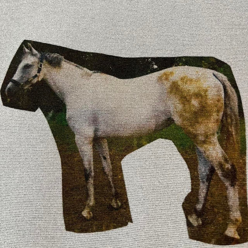 Acne Studios SILVER HORSE T-shirt In Silver Grey.