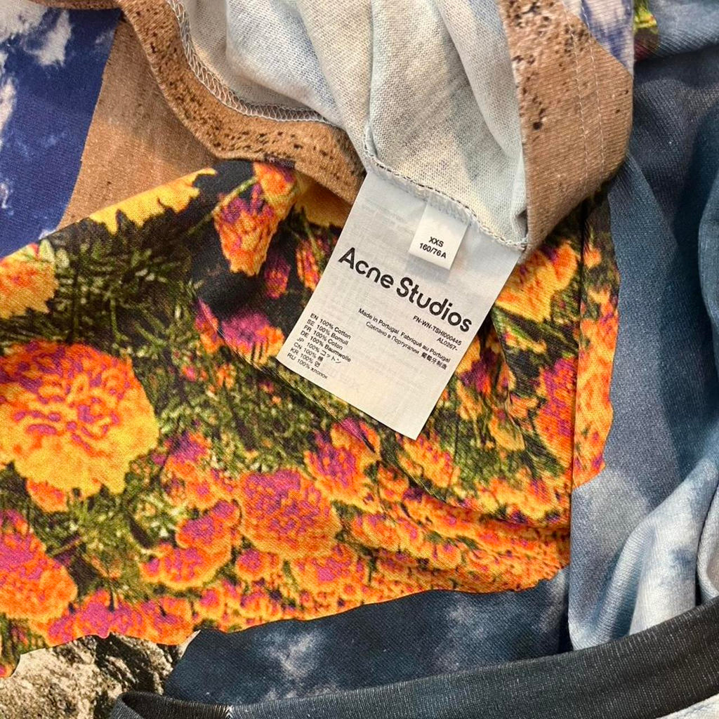 ACNE Studios ESTRELLE Graphic Print Cotton T-shirt In Grey.